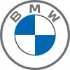 BMW Logo grau